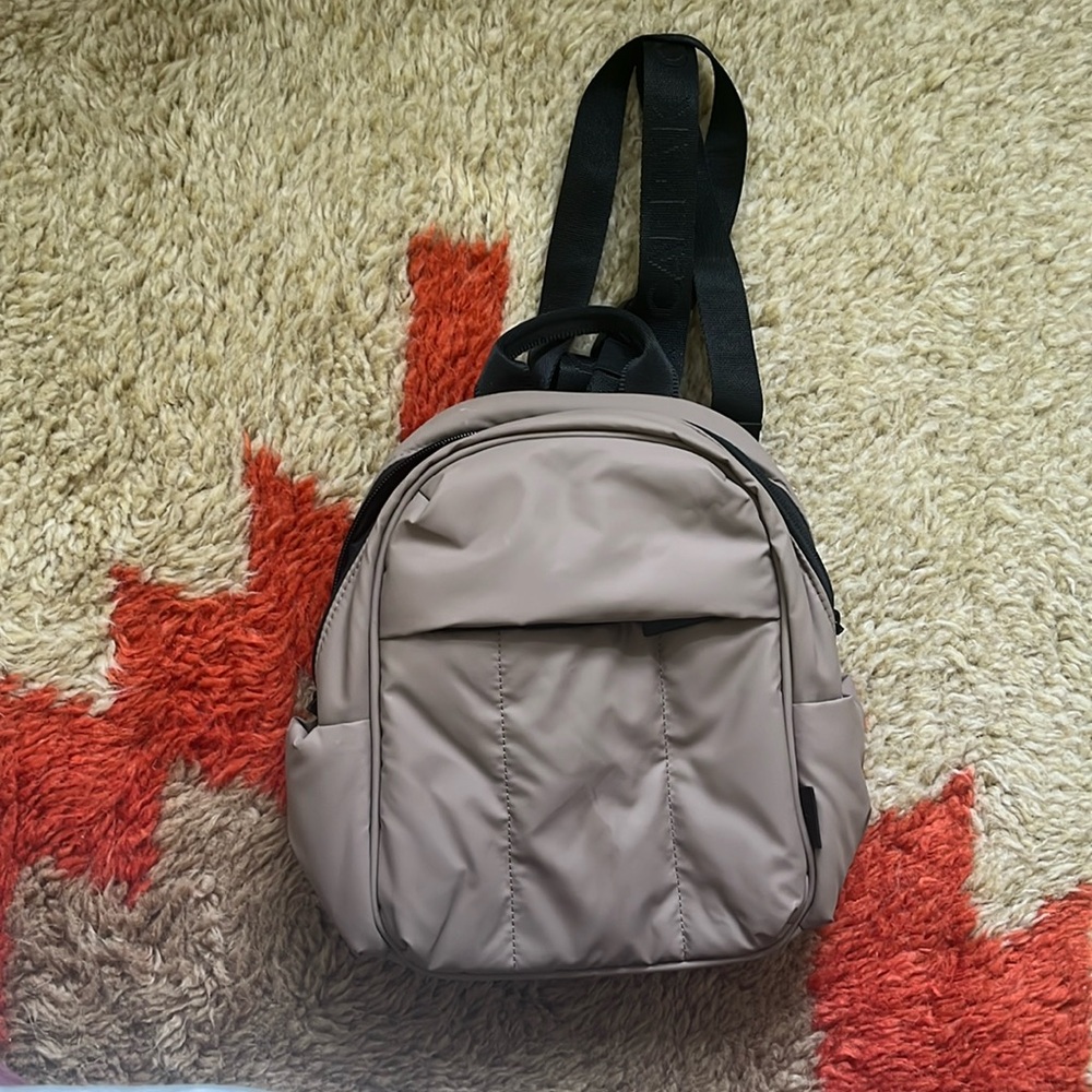 Calpak backpack
